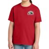 Youth Softstyle ® Midweight Tee Thumbnail