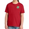 Youth Softstyle ® Midweight Tee Thumbnail