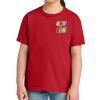 Youth Softstyle ® Midweight Tee Thumbnail