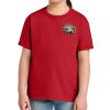 Youth Softstyle ® Midweight Tee Thumbnail