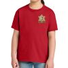 Youth Softstyle ® Midweight Tee Thumbnail