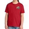 Youth Softstyle ® Midweight Tee Thumbnail