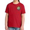 Youth Softstyle ® Midweight Tee Thumbnail
