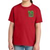 Youth Softstyle ® Midweight Tee Thumbnail