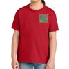 Youth Softstyle ® Midweight Tee Thumbnail