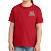 Youth Softstyle ® Midweight Tee Thumbnail