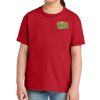Youth Softstyle ® Midweight Tee Thumbnail
