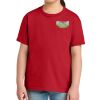 Youth Softstyle ® Midweight Tee Thumbnail