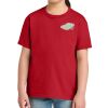 Youth Softstyle ® Midweight Tee Thumbnail