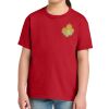 Youth Softstyle ® Midweight Tee Thumbnail