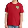 Youth Softstyle ® Midweight Tee Thumbnail