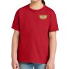 Youth Softstyle ® Midweight Tee Thumbnail