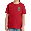 Youth Softstyle ® Midweight Tee Thumbnail